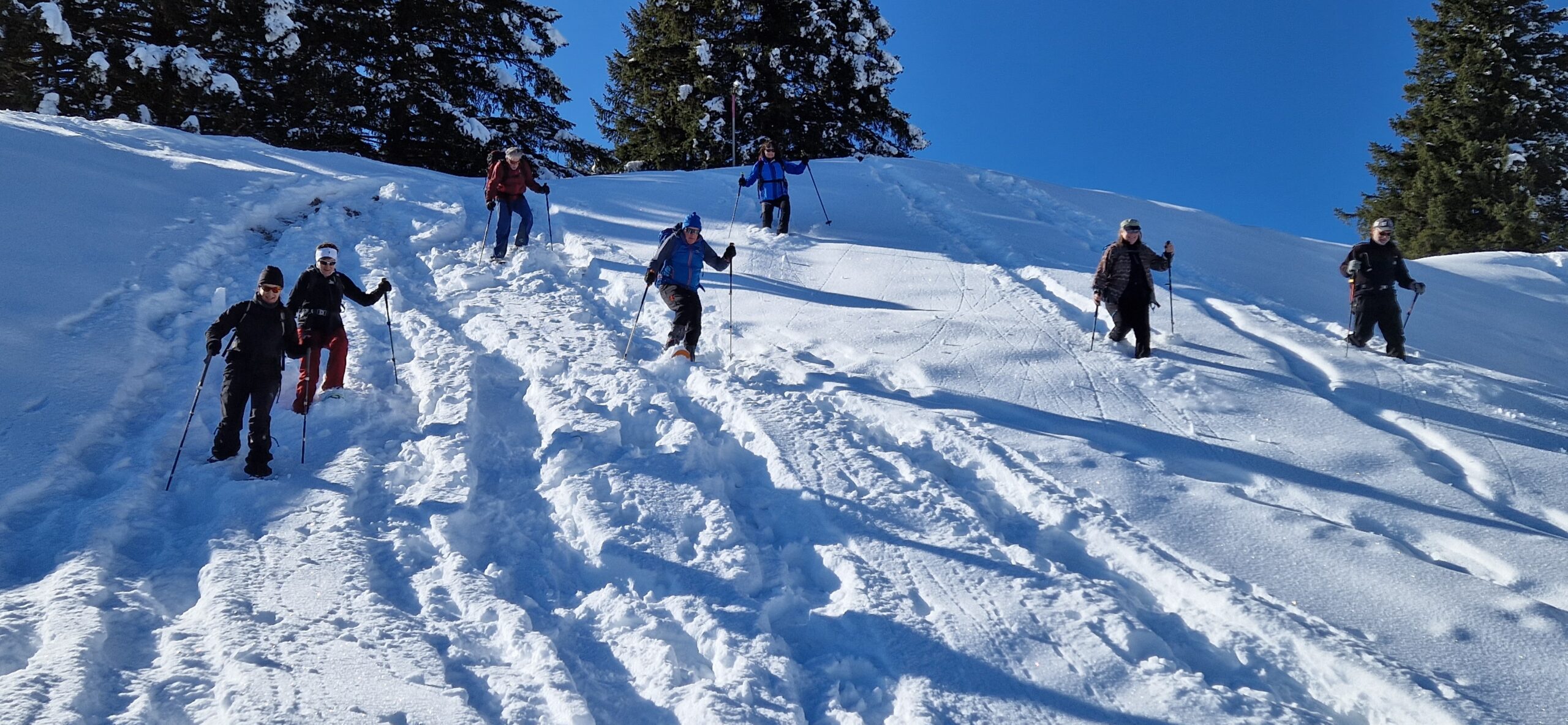 Werktags-Schneeschuhtour Chli Aubrig